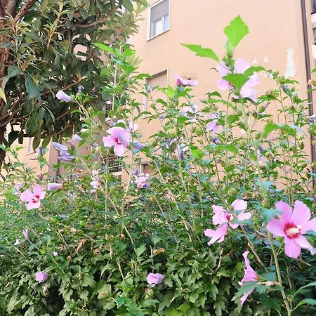 Parmense Apartment Parma